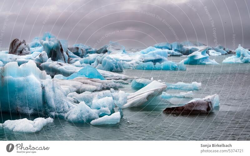 Ice ice baby - Lagune Jökulsarlon in Island jokulsarlon Eisberge Jökulsárlón Wasser Urlaub reisen Touristik Südisland Landschaft Europa berühmt fliegend