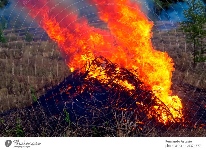 Waldbrand. Waldbrand im Gange. Waldbrand. Große Flammen eines Waldbrandes. Waldbrand am Nachmittag. Gras und Bäume brennen. Feuer und Rauch Umwelt vernichten