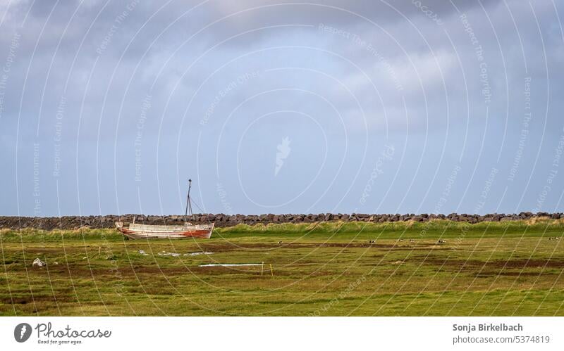 Hinter dem Deich Boot Islandreise Ufer Küste gestrandet Eiderenten Prachteiderente Zuchtgebiet Gras Wiese Himmel Wolken Schiff Schiffswrack isländisch schön