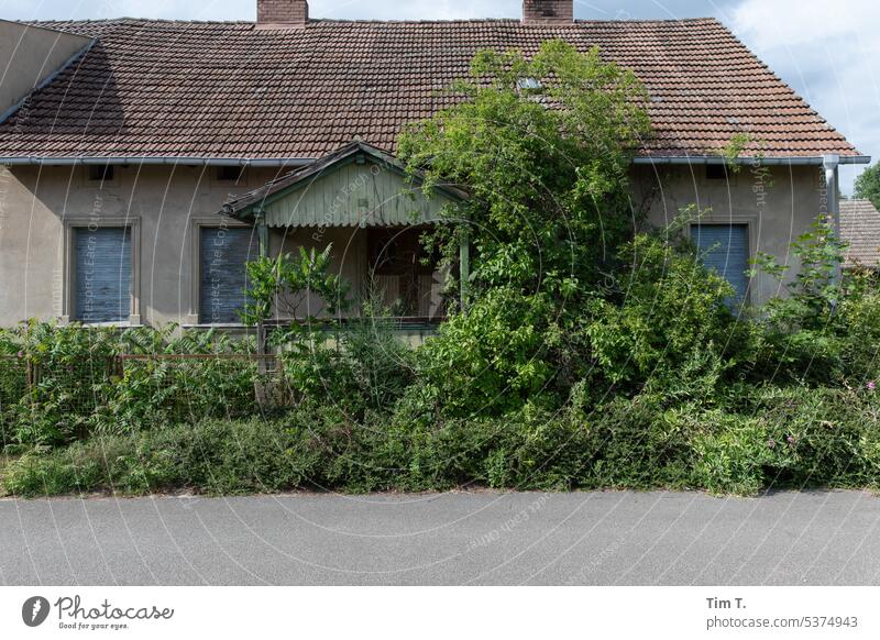 ein altes Haus in Brandenburg Unbewohnt Farbfoto Sommer Fenster geschlossen Menschenleer Fassade Gebäude Außenaufnahme Wand Tag Mauer Verfall Vergänglichkeit