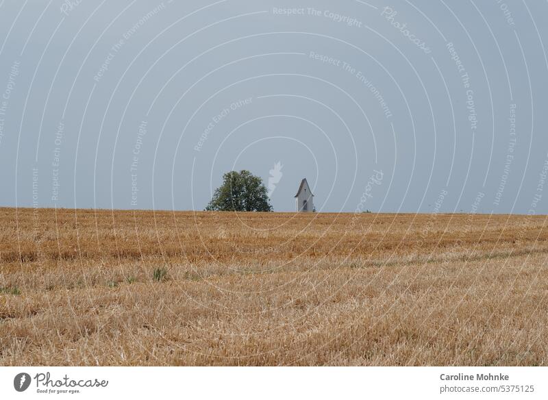 Ein Kirchturm und ein Baum am Horizont eines gemähten Kornfeldes Bäume Himmel Natur Feld Sommer Landwirtschaft Getreidefeld Ackerbau Nutzpflanze Landschaft