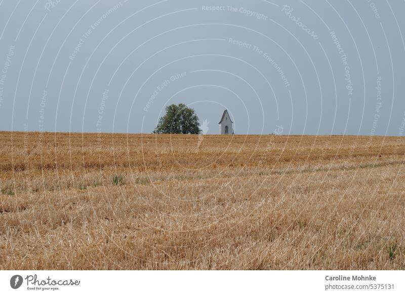 Gemähtes Getreidefeld, im Hintergrund ein Baum und ein Kirchturm gemähtes Getreidefeld Landschaft Kirche Bäume Natur Sommer Feld Landwirtschaft Kornfeld