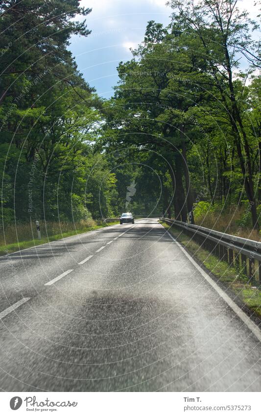 Gegenverkehr Allee Brandenburg Sommer Baum Außenaufnahme Straße Menschenleer Verkehr Tag Landstraße Landschaft fahren Wege & Pfade Verkehrswege Farbfoto