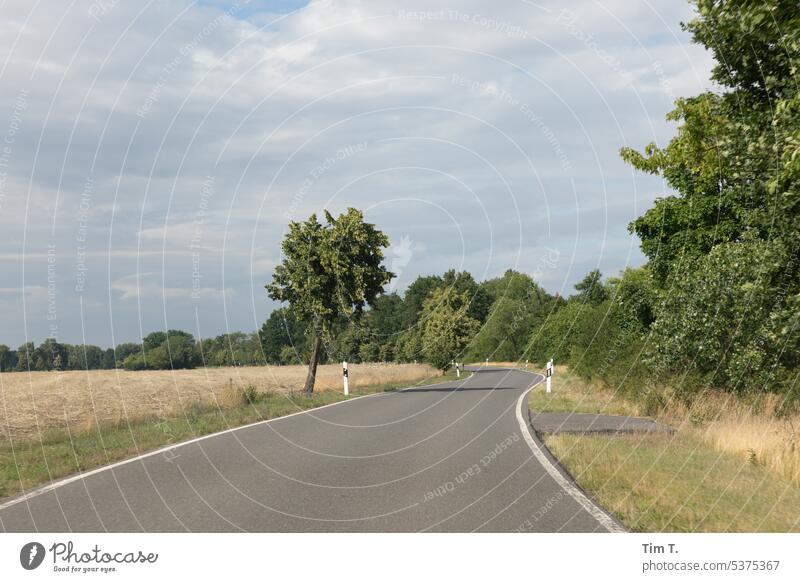 Landstraße mit Kurve Brandenburg Sommer Baum Straße Menschenleer Außenaufnahme Landschaft Wege & Pfade Allee Verkehr Tag Natur Verkehrswege Farbfoto Umwelt