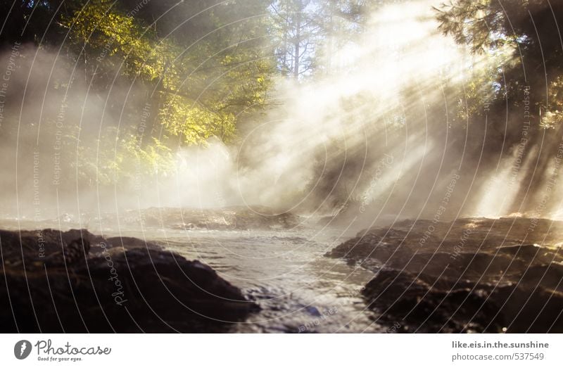 heiße quelle....herrlich :) Wohlgefühl Zufriedenheit Sinnesorgane Erholung ruhig Ferien & Urlaub & Reisen Umwelt Natur Landschaft Wasser Schönes Wetter Nebel