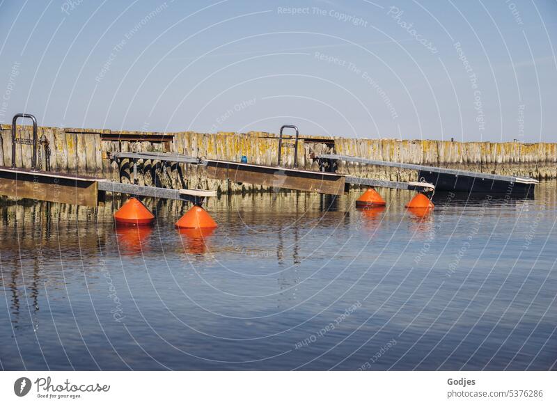 Steganlage mit orangen Bojen auf ruhigem Wasser See Meer Holzbohlen Anlagen Sommer Himmel Reflexion & Spiegelung Natur Seeufer Landschaft Außenaufnahme Wolken