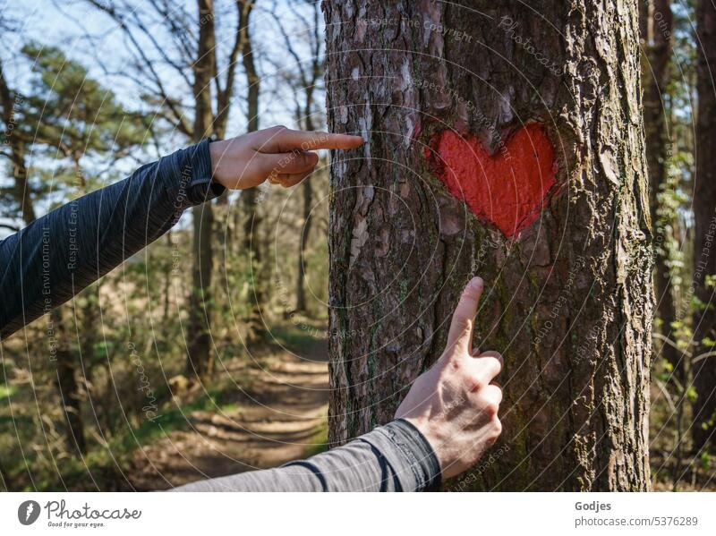 Zwei Hände zeigen auf ein rotes geschnitztes Herz in einem Baum Finger Liebe Hand Freundschaft Gefühle Farbfoto Romantik Sympathie festhalten Nahaufnahme