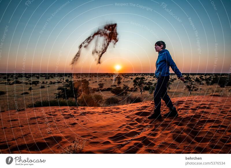 dieser eine moment Sand Wüste Afrika Namibia Ferne Fernweh reisen Farbfoto Landschaft Ferien & Urlaub & Reisen Natur Freiheit Abenteuer Wärme besonders