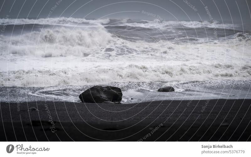 Wege über Wasser Reynisfjara Strand schwarz schwarzer Sand schwarzer Sandstrand Island Felsen Stein Wellen weiß Ansicht Tourismus reisen Reisen Steine Spray