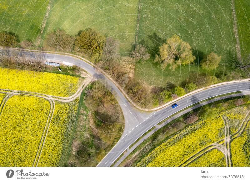 Blühende Landschaft mit Raps Landwirtschaft Rapsfeld Vogelperspektive Rapsanbau gelb Frühling Nutzpflanze Straße Rapsblüte Feld Ackerbau Spuren Linien