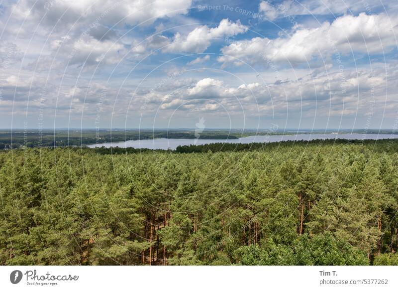 Naturschutzgebiet Brandenburg Himmel Wolken See Wald Sommer Landschaft Wasser Außenaufnahme Baum Umwelt Menschenleer ruhig Tag Farbfoto Schönes Wetter Idylle