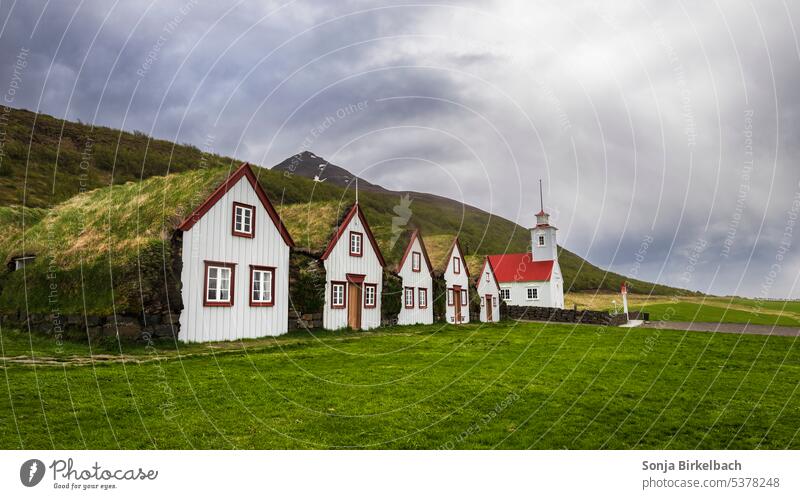 Vergangene Zeiten Laufás Erbe laufas kirkja Island Bauernhof Rasen Rasenhäuser Rasenzucht Dorf Grasnarbenhäuser Urlaub Ansicht reisen Tourismus Tradition