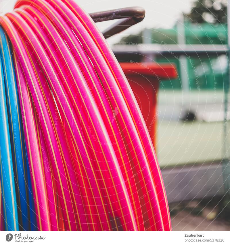 Rosa Schlauch, aufgerollt, auf dem Sportplatz rosa Wasser pink Rolle bewässern grün Bewässerung Garten sprengen Nässe Trockenheit Dürre Wassermangel