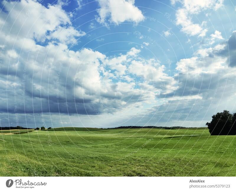 Dramatische Wolken über einer Weidelandschaft mit Baum und Wald am Horizont. dramatische Wolken schwere Wolken Landschaft Landschaftsbild Norddeutschland Wiese