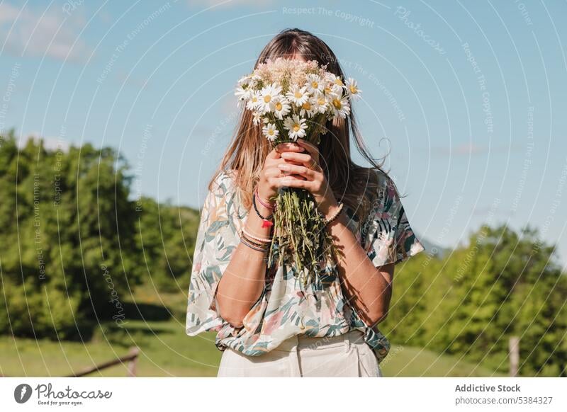 Frau mit Kamillenstrauß Gänseblümchen Blume Blumenstrauß Sommer Haufen Tierhaut Blütezeit Feld Wildblume frisch wild Natur grün Wiese Gras Rasen weiß geblümt