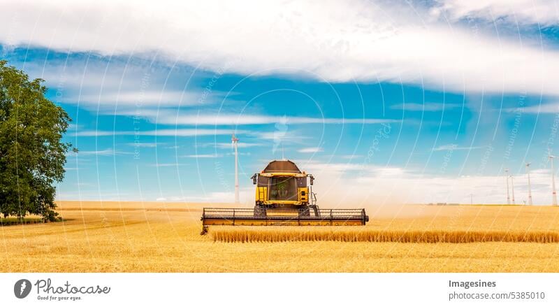 Getreideernte. Mähdrescher im Einsatz auf Weizenfeld. Prozess der Ernte. Landwirtschaftliche Maschinen landwirtschaftliches Feld landwirtschaftliche Maschinen