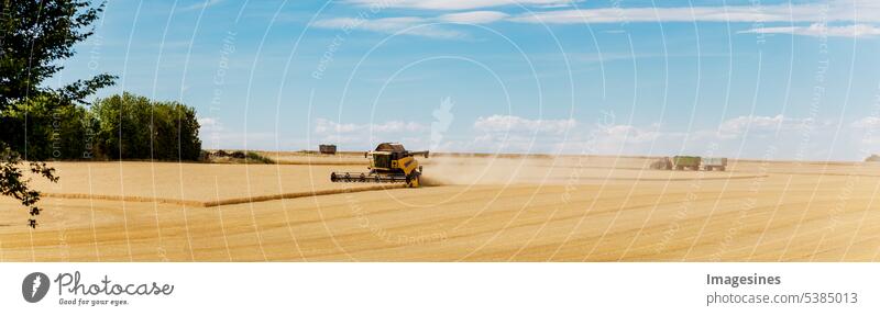 Getreideernte. Mähdrescher im Einsatz auf Weizenfeld. Prozess der Ernte. Landwirtschaftliche Maschinen landwirtschaftliches Feld landwirtschaftliche Maschinen