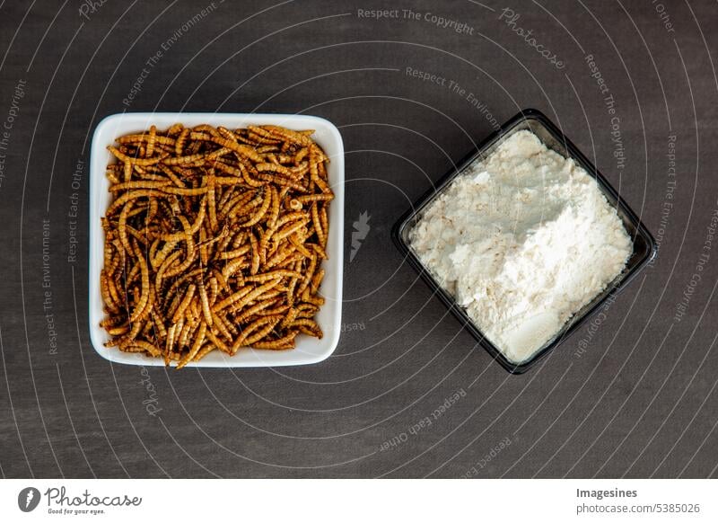 Snack-Insekten. Mehlwurmlarven als Nahrung und eine Schüssel mit Larven Mehl. Mehlwürmer, Krebstiere Tenebrio molitor, gefriergetrocknet zum Knabbern. Gebratene Würmer. Geröstete Mehlwürmer. Tiersnack-Konzept