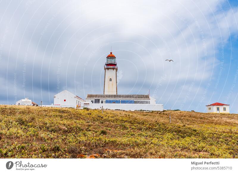 Leuchtturm von Berlenga, im Naturschutzgebiet des Berlengas-Archipels in der Nähe von Peniche, Portugal. berlenga Insel peniche Inselgruppe Turm reisen