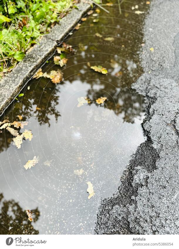 Herbstvorbote | Pfütze in Asphaltloch mit Eichenblättern, Baumspiegelung, etwas Grün und Bordsteinkante Straße Straßenschäden Schlagloch Reflexion & Spiegelung