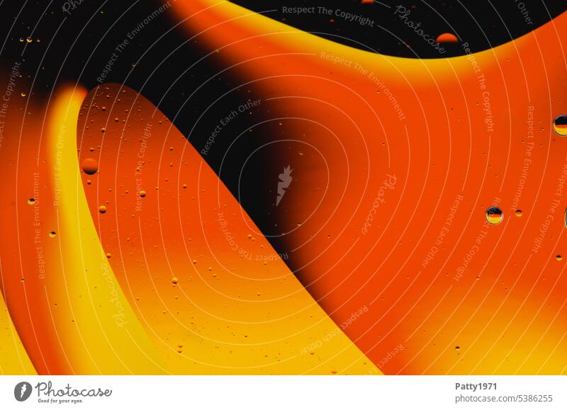 Öl in Wasser bildet abstrakte Formen und Strukturen Flüßigkeit Muster Strukturen & Formen Hintergrundbild Makroaufnahme Design Detailaufnahme Linien weich