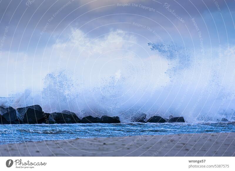 Wellenbrecher Sturm Herbststurm Ostsee Ostseeküste Wellenberge tosende See Brandung Brandungswelle Meer Wasser Küste Strand Himmel Außenaufnahme Farbfoto