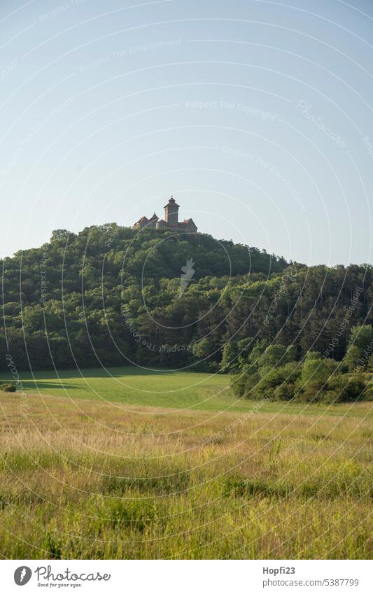 Wachsenburg am Morgen Burg oder Schloss Architektur historisch Sehenswürdigkeit Außenaufnahme Bauwerk Gebäude Farbfoto alt Mauer Tourismus