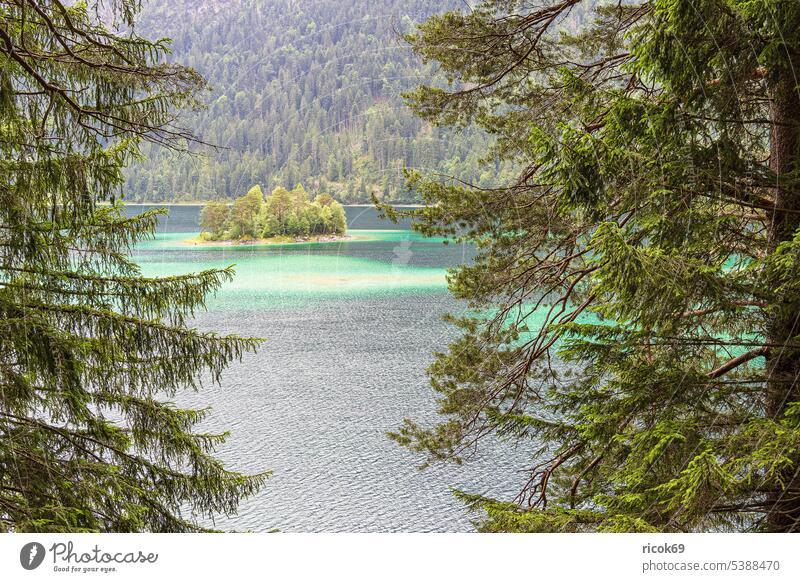 Insel im Eibsee bei Garmisch-Partenkirchen in Bayern Alpen Gebirge Wetterstein Berg See Wettersteingebirge Landschaft Natur Sommer Baum Wald grün Urlaub Reise