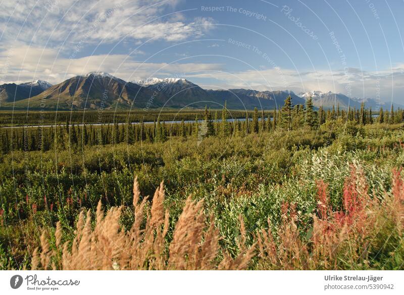 Alaska | herbstliche Morgenstimmung kurz vor dem Denali Nationalpark Berge schneebedeckte Gipfel Berge u. Gebirge Schnee Fluss Flusslauf Berg und Tal Weite