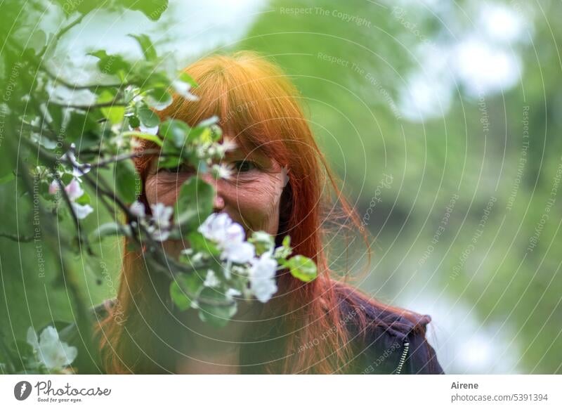 Versteckspiel Blüte Apfelblüte Frau riechen Blütenduft Zweig sympathisch Garten zart Ausstrahlung blühende Zweige feurig weiß Äste Baum positiv Zweige u. Äste