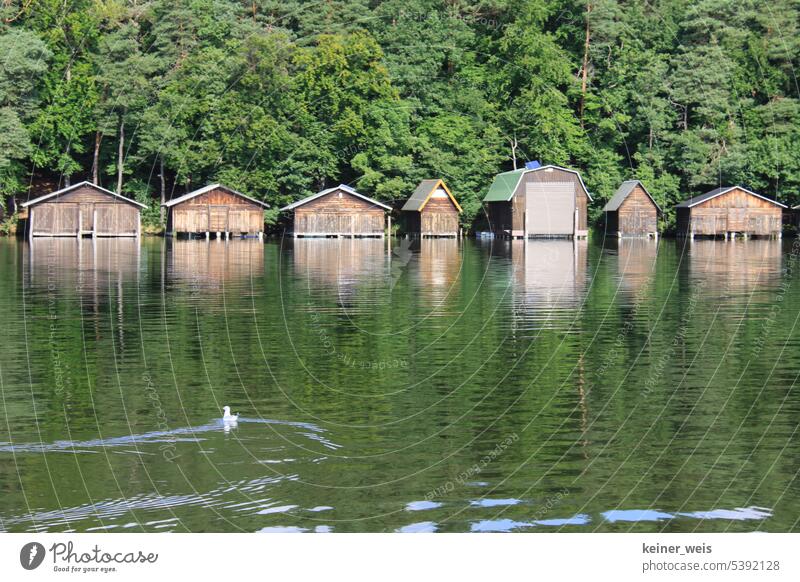 Bootshäuser aus Holz gebaut an der Mecklenburgischen Seenplatte am Ufer der Müritz Bootshaus Mecklenburgische Seenplatte Mecklenburg-Vorpommern Wasser