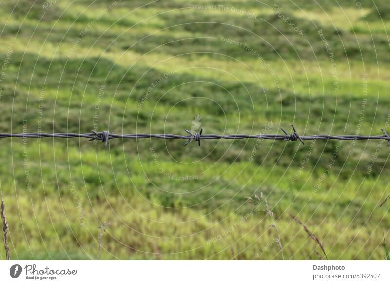 Stacheldraht Strang Nahaufnahme in einer Landschaft Lage mit Stacheln versehen Draht Sicherheit stechend Stahl gespitzt zerklüftet verdrillt Spitze Zaun Metall