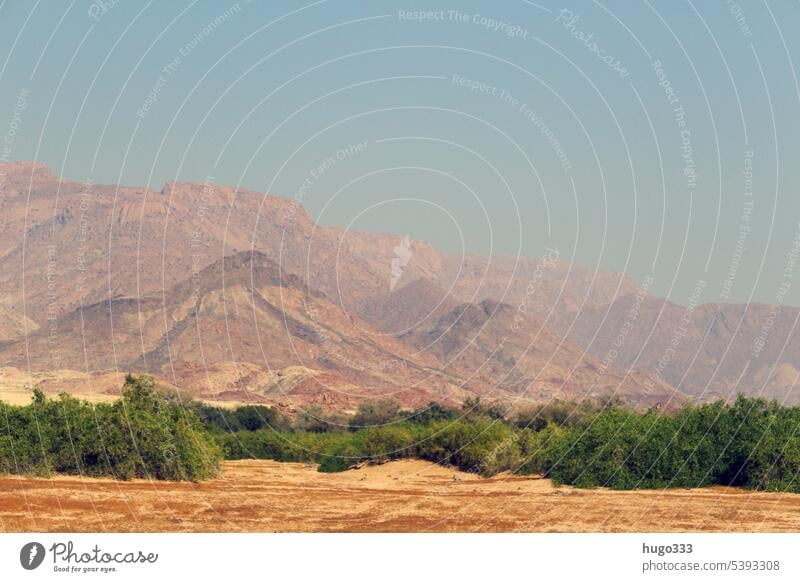 Lass den Blick schweifen 5 Afrika Namibia Umwelt Natur Landschaft Erde Sonnenlicht Hügel Berge u. Gebirge Gipfel Wüste exotisch Ferne frei gigantisch