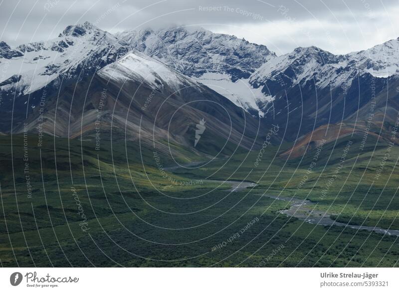 Alaska | Denali Nationalpark | Flusslauf in majestätischer Weite und erster Schnee auf den Bergen schneebedeckte Gipfel Berge u. Gebirge Berg und Tal