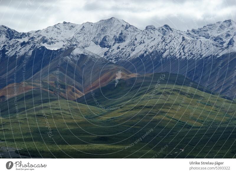 Alaska | Denali Nationalpark | majestätische Weite und erster Schnee auf den Bergen schneebedeckte Gipfel Berge u. Gebirge Fluss Flusslauf Berg und Tal