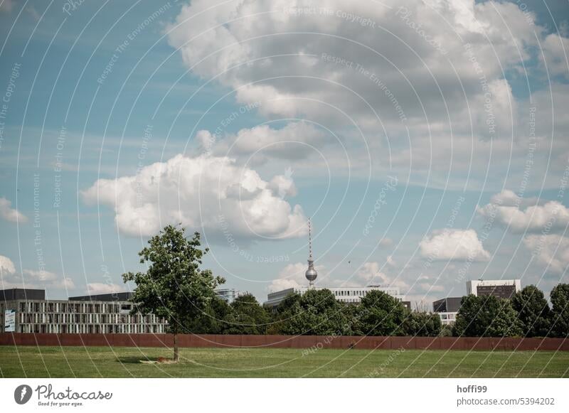 Postkarte aus Berlin - Baum und Wölkchen inklusive Postkartenmotiv Berliner Fernsehturm Berlin-Mitte Hauptstadt Sehenswürdigkeit Himmel Stadtzentrum Wahrzeichen