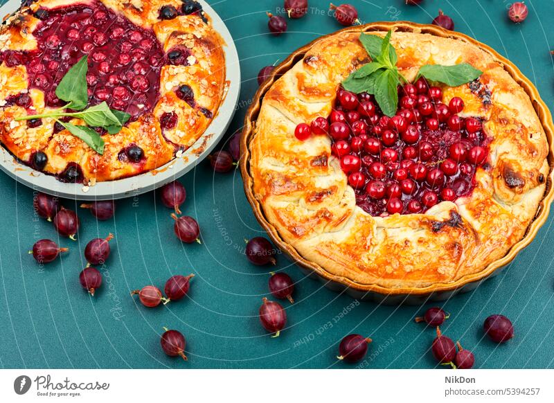 Hausgemachte Beerentorte. Pasteten Dessert Kuchen süß Johannisbeere Frucht offen Torte Sommer saisonbedingt Stachelbeeren Galette lecker selbstgemacht