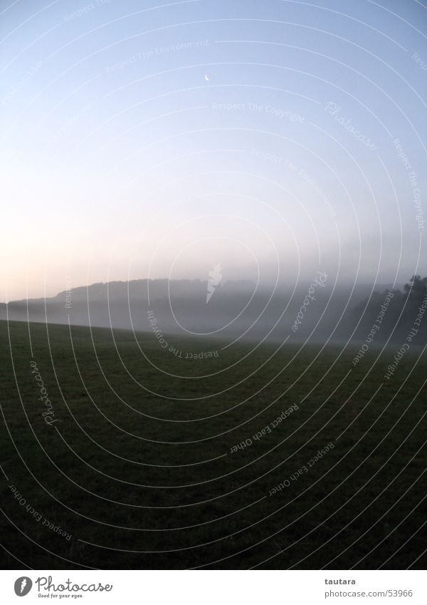 In der Frühe Morgen Nebelbank Wiese Morgendämmerung Mond