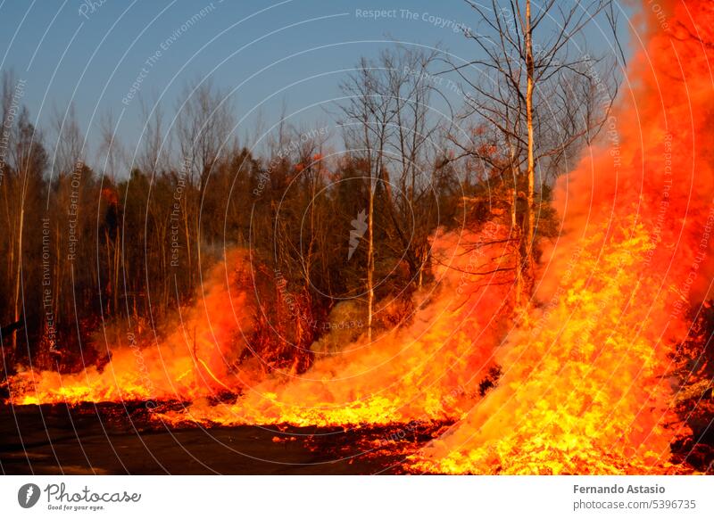 Waldbrand auf der Insel Rhodos, Rodes, Griechenland. Waldbrand im Gange. Waldbrand. Große Flammen eines Waldbrandes. Incendio forestal. Zur Stufe 6 erklärt. Palermo. Sizilien. Cascais. Portugal.