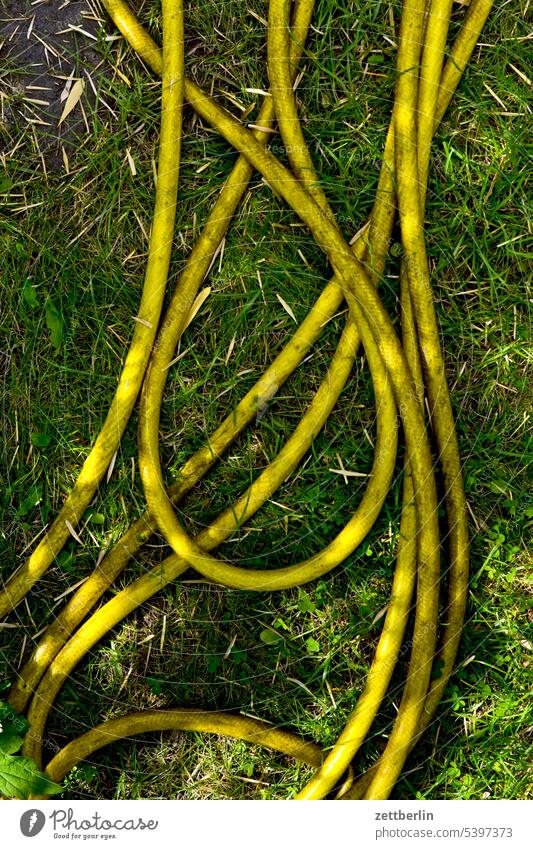 Gartenschlauch erholung ferien garten kleingarten kleingartenkolonie menschenleer natur pflanze ruhe saison schrebergarten sommer textfreiraum tiefenschärfe