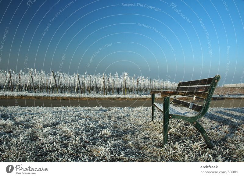 Ein badischer Morgen Raureif Weinberg Wiese Parkbank ruhig Winzer Tourismus Himmel Erholung Deutschland Bank Frost Berge u. Gebirge sitzen Schwimmen & Baden