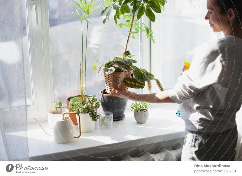 Junge Frau, die sich um grüne Zimmerpflanzen zu Hause im Garten kümmert. Millennial Person hält Topfpflanze. Gartenarbeit städtischen Dschungel Hobby. abstrakt