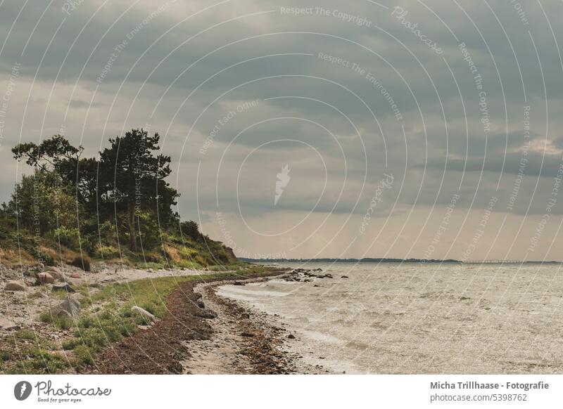 Ostseestrand bei trübem Wetter Strand Dänemark Langeland Tranekaer Landschaft Natur Wasser Meer Wellen Sand Küste Himmel Wolken regnerisch