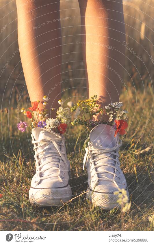 Bunte Feldblumen schauen aus den weißen Turnschuhen heraus Sneaker Goldenes Licht Sommer Ernte Blumenstrauß Natur Pflanzen Außenaufnahme bunt frontalaufnahme