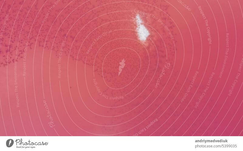 Luftaufnahme des Salzsees mit rosa Wasser, Lagune Sivash, Ukraine, Erholungsgebiet. Der See färbt sich aufgrund von Salzen und kleinen Krebstieren (Artemia) im Wasser natürlich rosa.