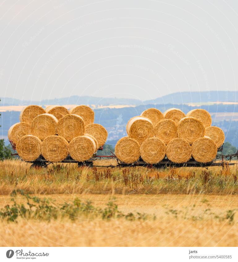 Rundballen auf zwei Anhängen vor Mittelgebirge Panorama Ernte Feld Landwirtschaft Natur Ackerbau Getreide Korn Ernährung Sommer Umwelt ökologisch Landschaft