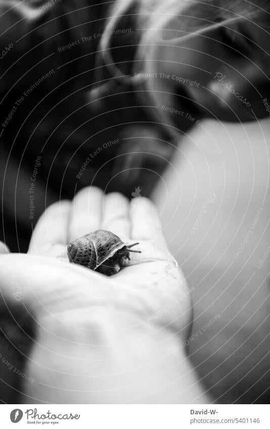 fasziniertes Kind bestaunt eine Schnecke Neugier neugierig niedlich Natur Tier interessiert staunen aufmerksam beobachten offener mund Mädchen Schneckenhaus