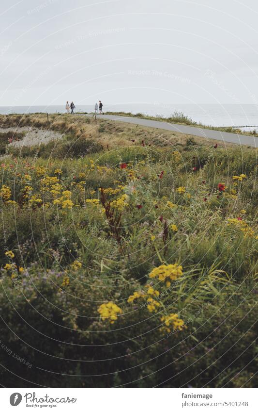 Strandpromenade in der Dünenlandschaft von Cadzand bei bewölktem Himmel mit gelben Blumen im Vorder- und Meer im Hintergrund spaziergang Spazierweg diagonal Weg