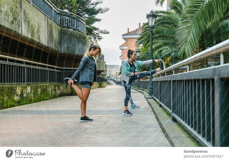 Läuferinnen, die sich vor dem Training in der Stadt die Beine vertreten Frauen Menschengruppe Team Freund strecken Zusammensein Freundschaft rennen Sport Übung