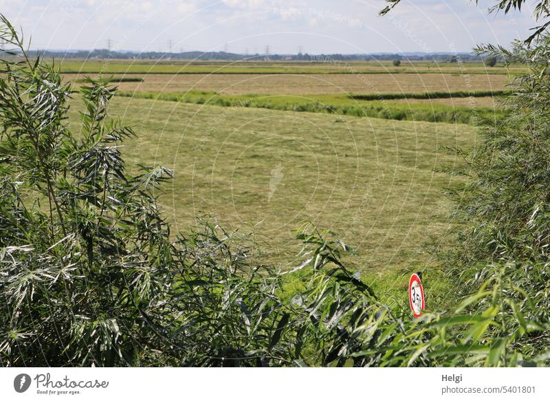 3,5 t inmitten der Natur Landschaft Wiese Moorwiese Ochsenmoor Baum Strauch Schild Verkehrsschild Hinweisschild Verbotsschild Sommer Umwelt